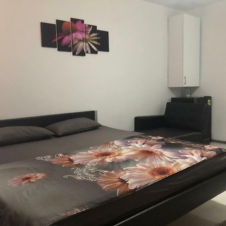 Appartement Garsoniera Aleea Trandafirilor à Băile Herculane Extérieur photo