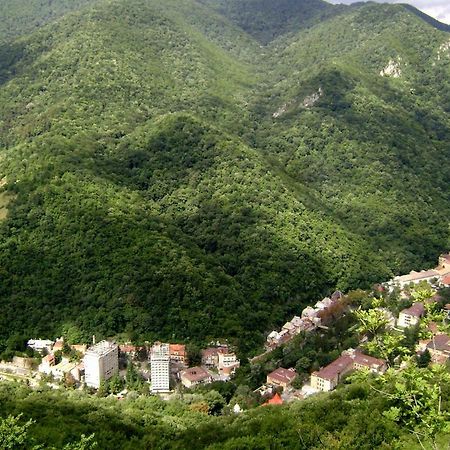 Appartement Garsoniera Aleea Trandafirilor à Băile Herculane Extérieur photo
