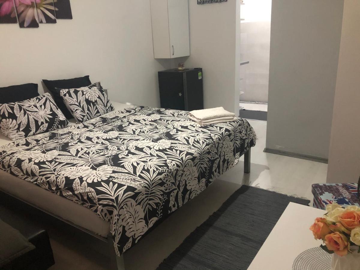 Appartement Garsoniera Aleea Trandafirilor à Băile Herculane Extérieur photo