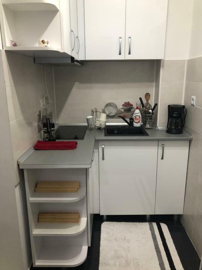 Appartement Garsoniera Aleea Trandafirilor à Băile Herculane Extérieur photo