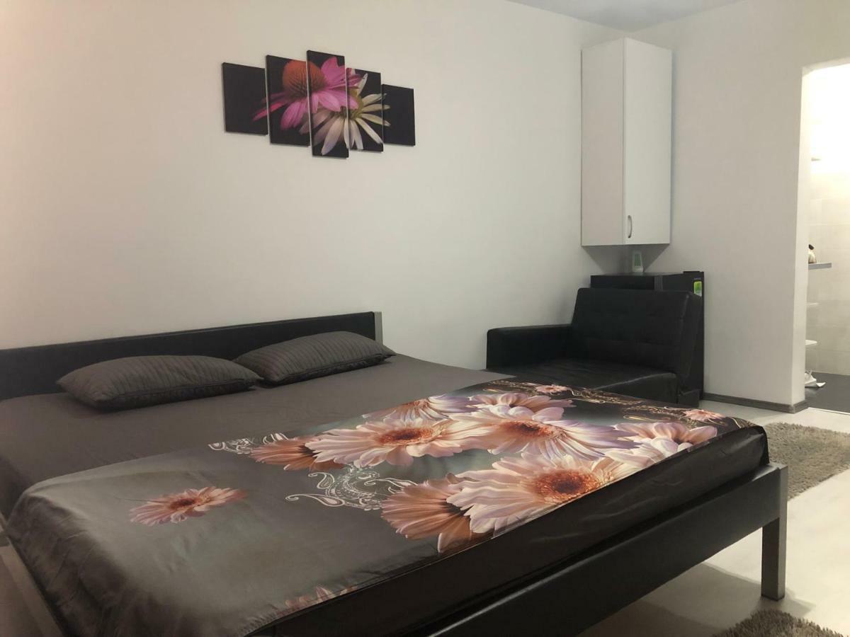 Appartement Garsoniera Aleea Trandafirilor à Băile Herculane Extérieur photo